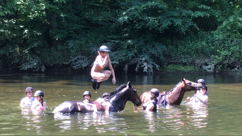 Camps Black Horse Stables