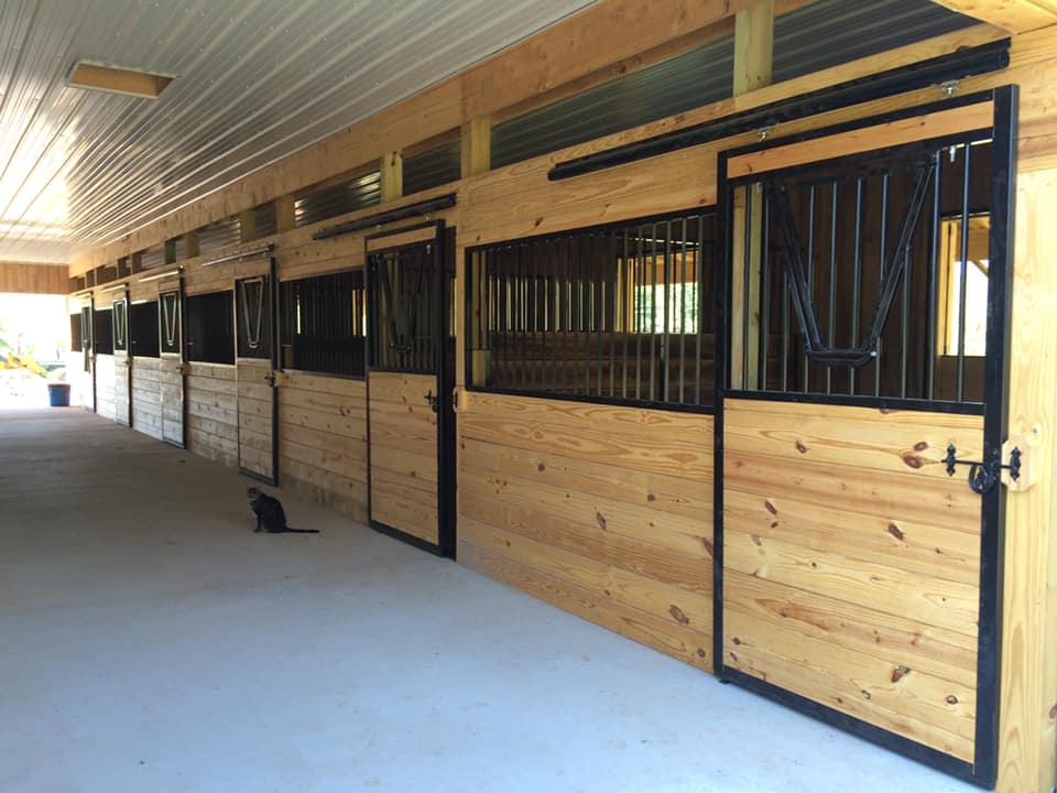 Boarding – Black Horse Stables